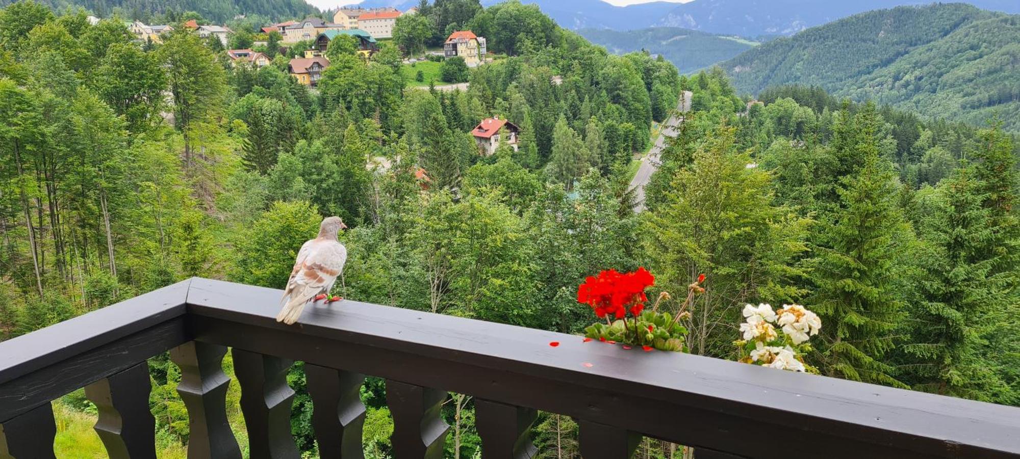 Kurhotel Renona Rehabilitation Semmering Exterior photo